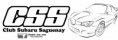 Logo CSS #1